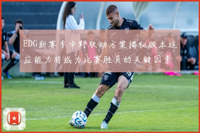 EDG新赛季中野联动方案揭秘版本适应能力将成为比赛胜负的关键因素
